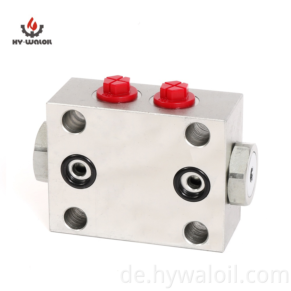 Double Pilot Hydraulic Check Valve